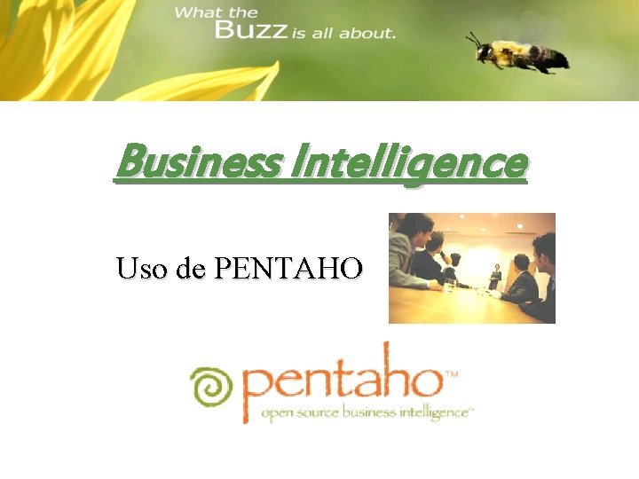 Business Intelligence Uso de PENTAHO 