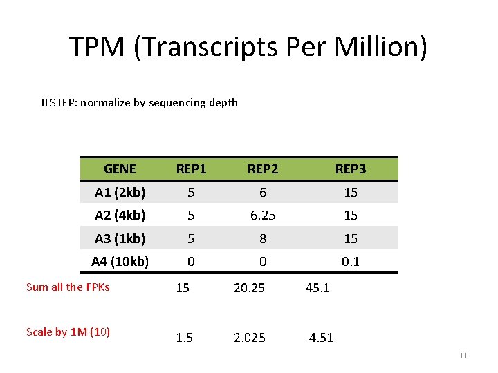 TPM (Transcripts Per Million) II STEP: normalize by sequencing depth GENE REP 1 REP
