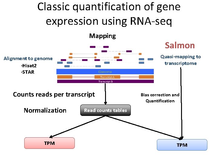 Classic quantification of gene expression using RNA-seq Mapping Quasi-mapping to transcriptome Alignment to genome