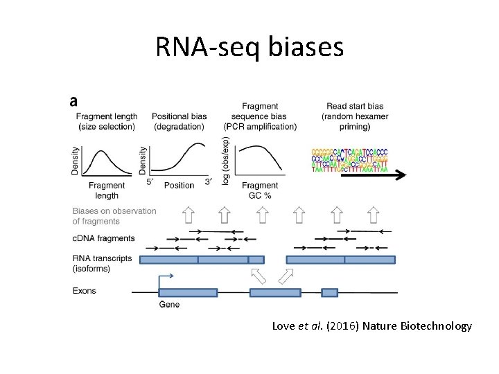 RNA-seq biases Love et al. (2016) Nature Biotechnology 