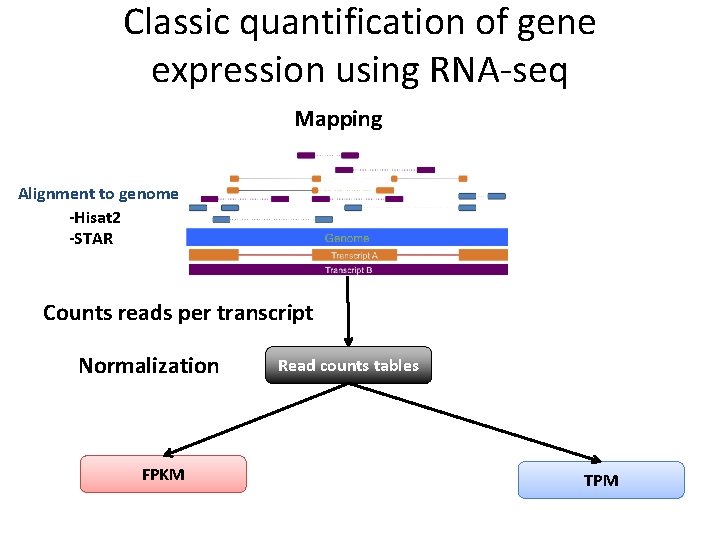 Classic quantification of gene expression using RNA-seq Mapping Alignment to genome -Hisat 2 -STAR