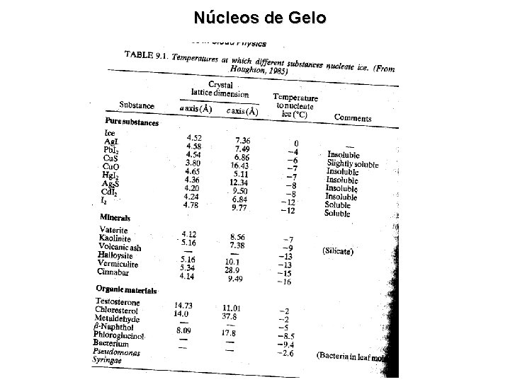 Núcleos de Gelo 