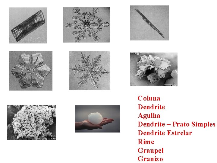 Coluna Dendrite Agulha Dendrite – Prato Simples Dendrite Estrelar Rime Graupel Granizo 
