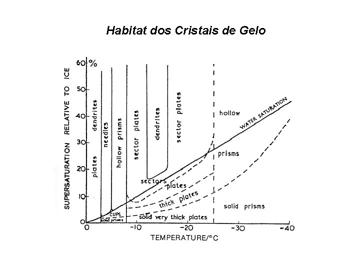 Habitat dos Cristais de Gelo 