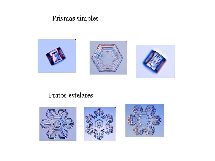 Prismas simples Pratos estelares 