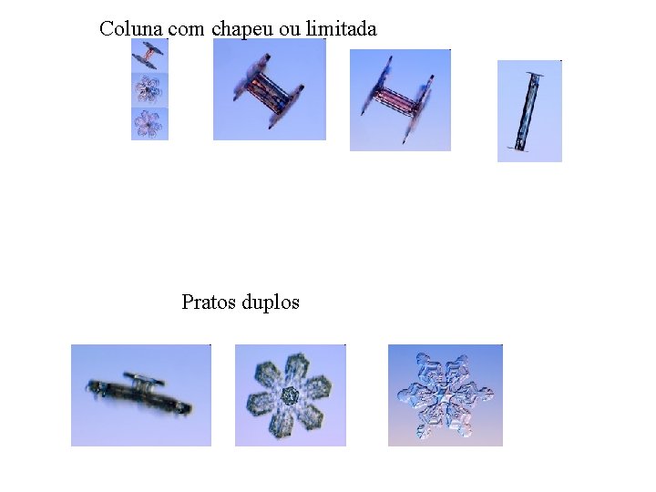 Coluna com chapeu ou limitada Pratos duplos 