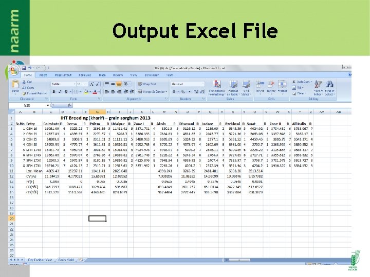 Output Excel File Output Excel File
