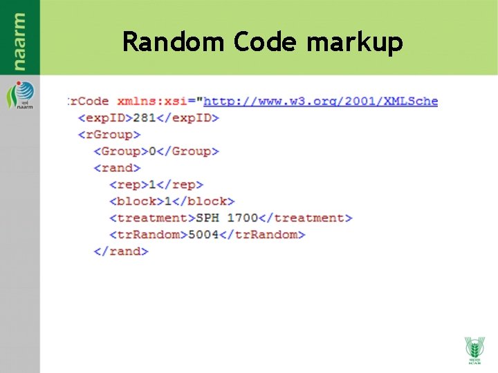Random Code markup Random Code markup