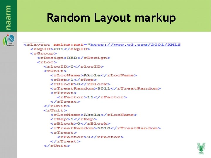 Random Layout markup Random Layout markup