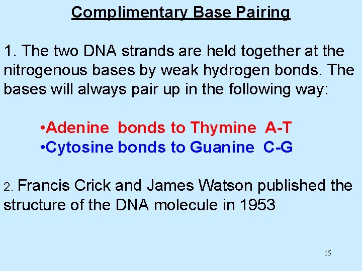 Complimentary Base Pairing 1. The two DNA strands are held together at the nitrogenous