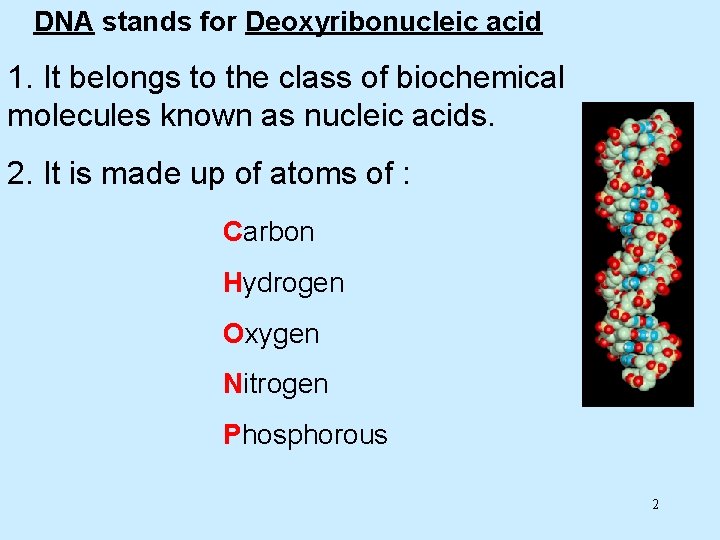 DNA stands for Deoxyribonucleic acid 1. It belongs to the class of biochemical molecules