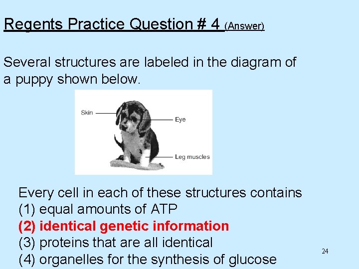 Regents Practice Question # 4 (Answer) Several structures are labeled in the diagram of