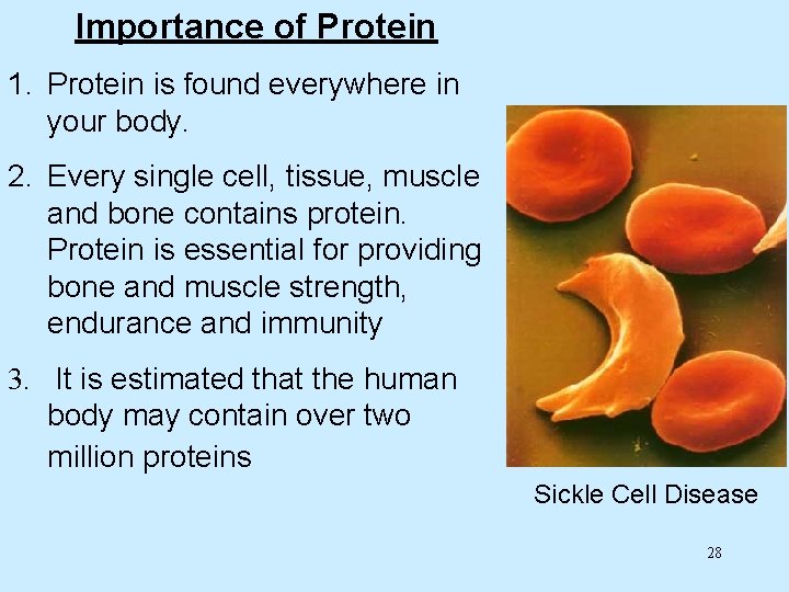 Importance of Protein 1. Protein is found everywhere in your body. 2. Every single