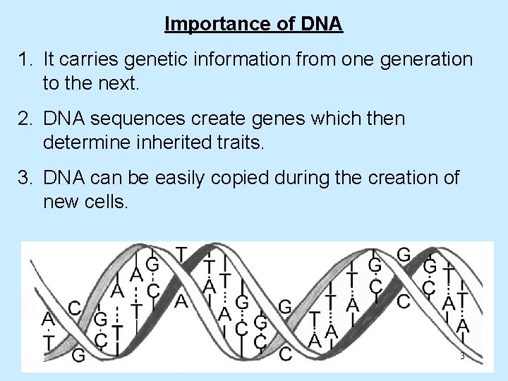Importance of DNA 1. It carries genetic information from one generation to the next.