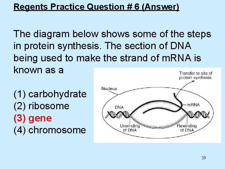 Regents Practice Question # 6 (Answer) The diagram below shows some of the steps