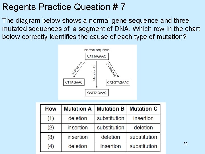 Regents Practice Question # 7 The diagram below shows a normal gene sequence and