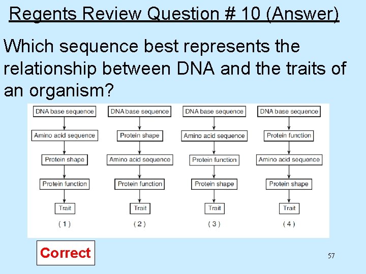 Regents Review Question # 10 (Answer) Which sequence best represents the relationship between DNA