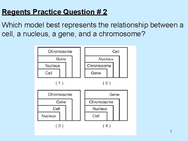 Regents Practice Question # 2 Which model best represents the relationship between a cell,