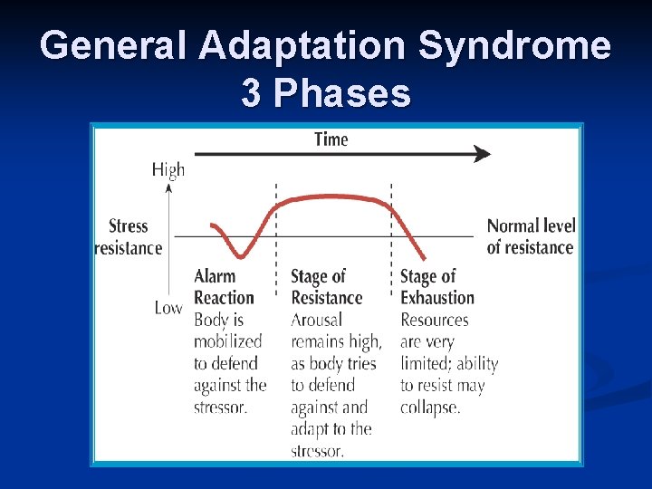 General Adaptation Syndrome 3 Phases 