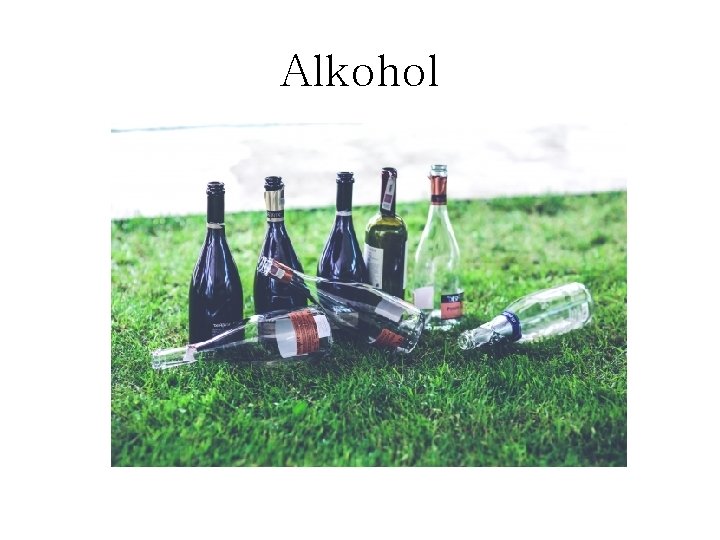 Alkohol 