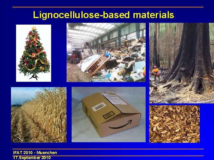 Lignocellulose-based materials IFAT 2010 - Muenchen 17. September 2010 