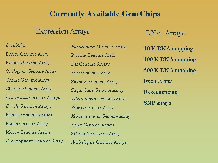 Currently Available Gene. Chips Expression Arrays DNA Arrays B. subtilis Plasmodium Genome Array Barley