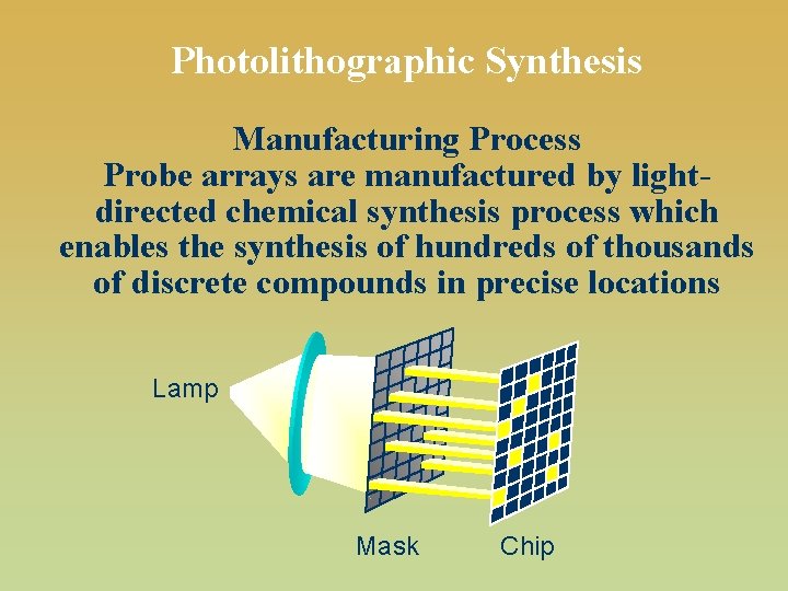 Photolithographic Synthesis Manufacturing Process Probe arrays are manufactured by lightdirected chemical synthesis process which