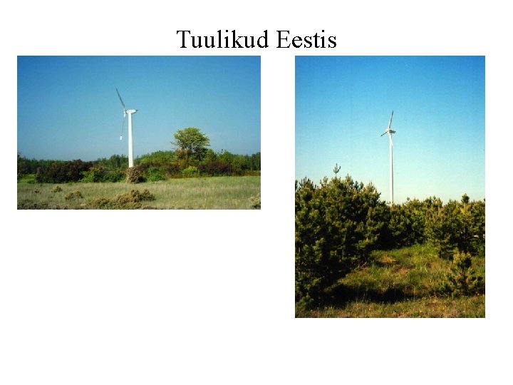 Tuulikud Eestis 