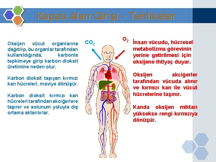 Kapalı Alan Girişi - Tehlikeler Oksijen vücut organlarına dağıtılıp, bu organlar tarafından kullanıldığında, karbonla