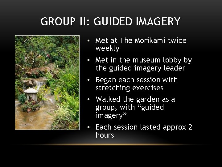GROUP II: GUIDED IMAGERY • Met at The Morikami twice weekly • Met in