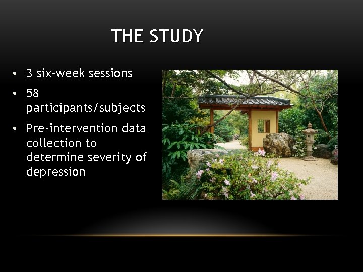 THE STUDY • 3 six-week sessions • 58 participants/subjects • Pre-intervention data collection to