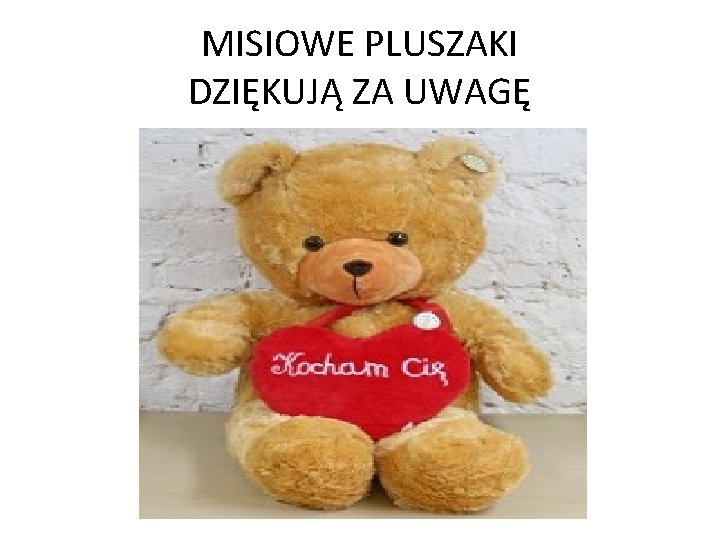 MISIOWE PLUSZAKI DZIĘKUJĄ ZA UWAGĘ 