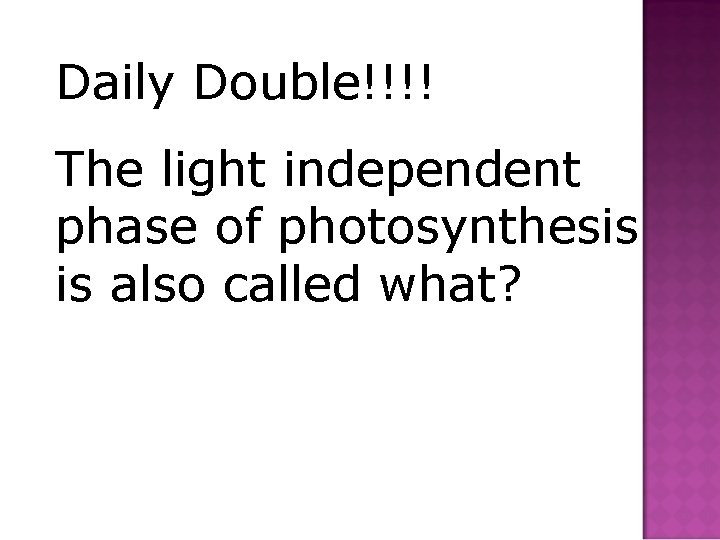 Daily Double!!!! The light independent phase of photosynthesis is also called what? 