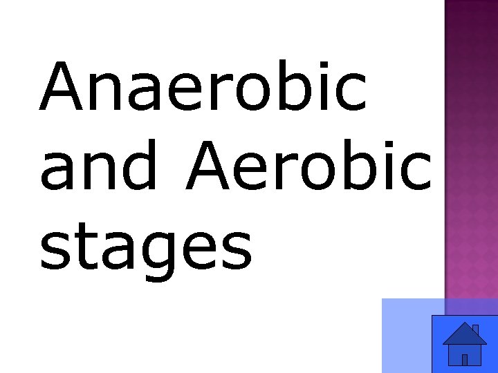 Anaerobic and Aerobic stages 