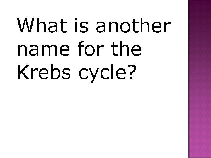 What is another name for the Krebs cycle? 