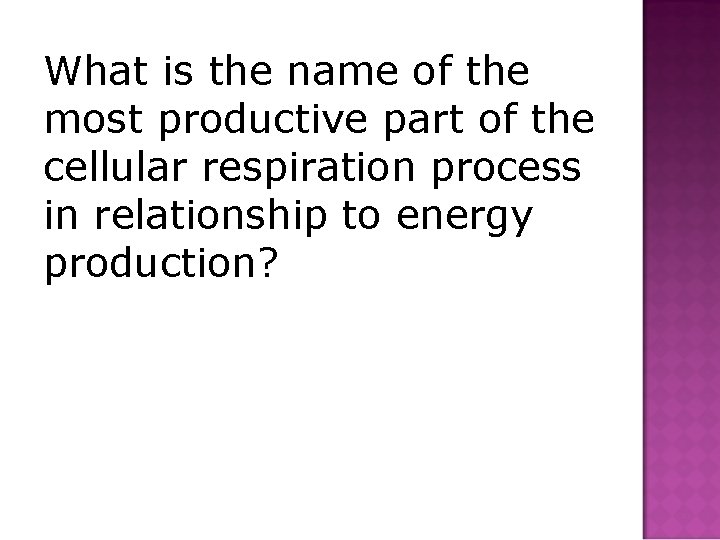 What is the name of the most productive part of the cellular respiration process
