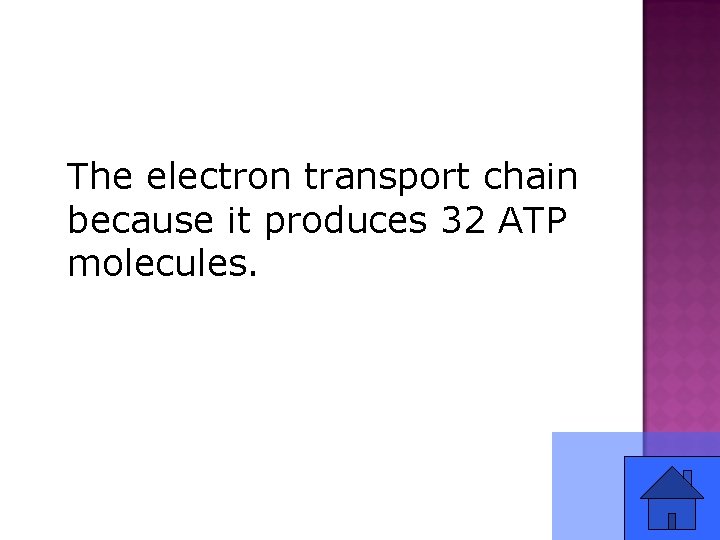 The electron transport chain because it produces 32 ATP molecules. 