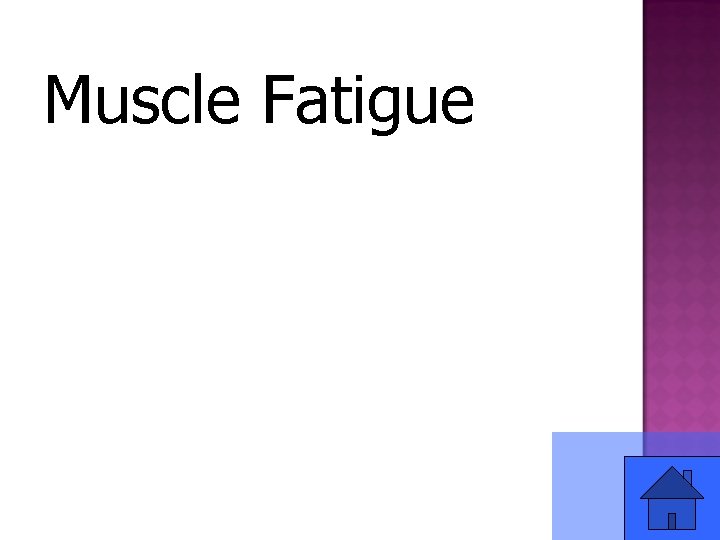 Muscle Fatigue 