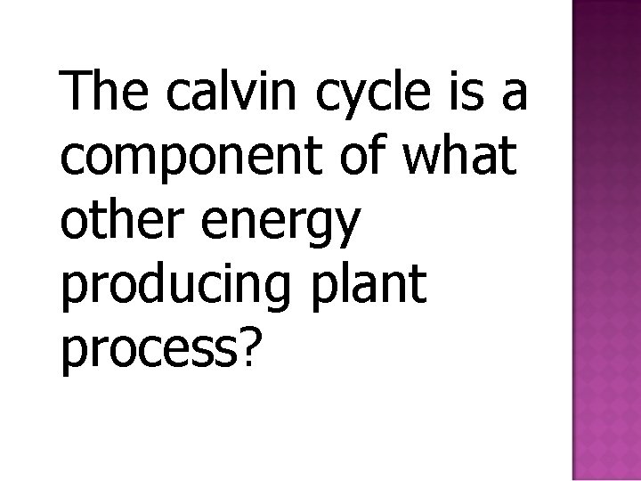 The calvin cycle is a component of what other energy producing plant process? 
