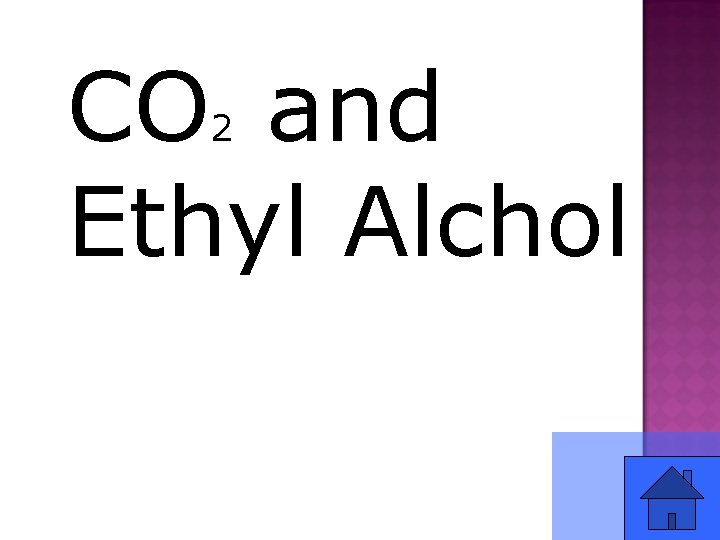 CO and Ethyl Alchol 2 