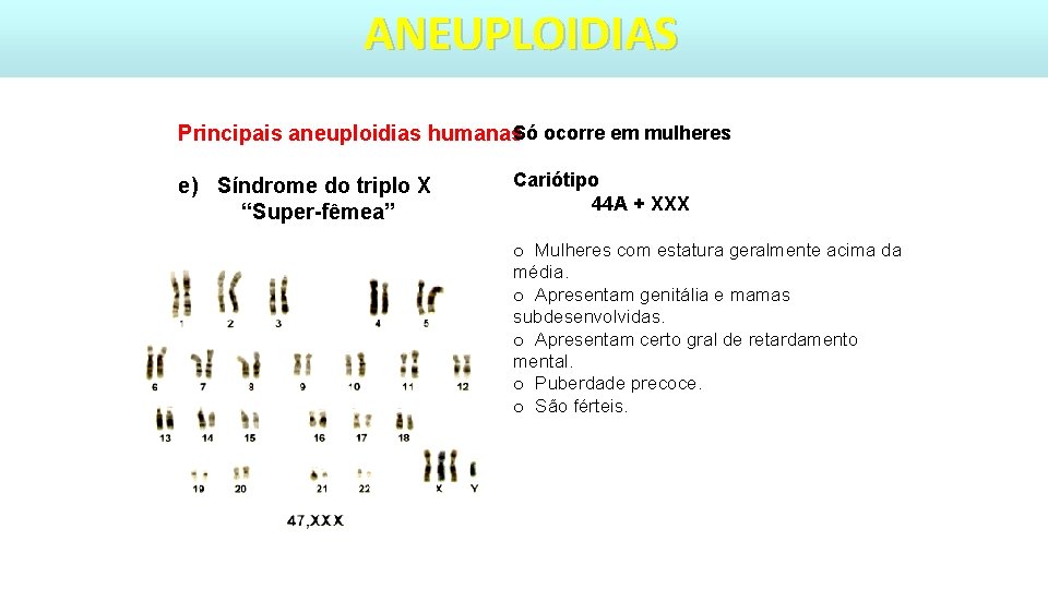 ANEUPLOIDIAS Principais aneuploidias humanas. Só ocorre em mulheres e) Síndrome do triplo X “Super-fêmea”