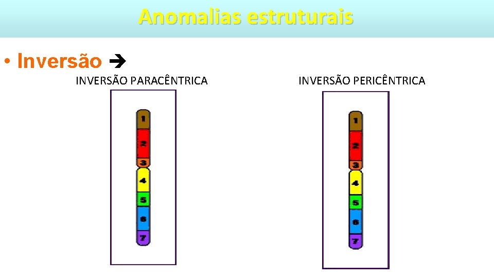 Anomalias estruturais • Inversão INVERSÃO PARACÊNTRICA INVERSÃO PERICÊNTRICA 