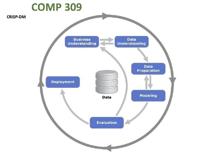 CRISP-DM COMP 309 