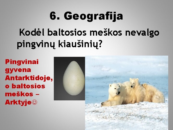 6. Geografija Kodėl baltosios meškos nevalgo pingvinų kiaušinių? Pingvinai gyvena Antarktidoje, o baltosios meškos