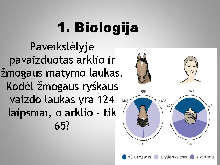 1. Biologija Paveikslėlyje pavaizduotas arklio ir žmogaus matymo laukas. Kodėl žmogaus ryškaus vaizdo laukas