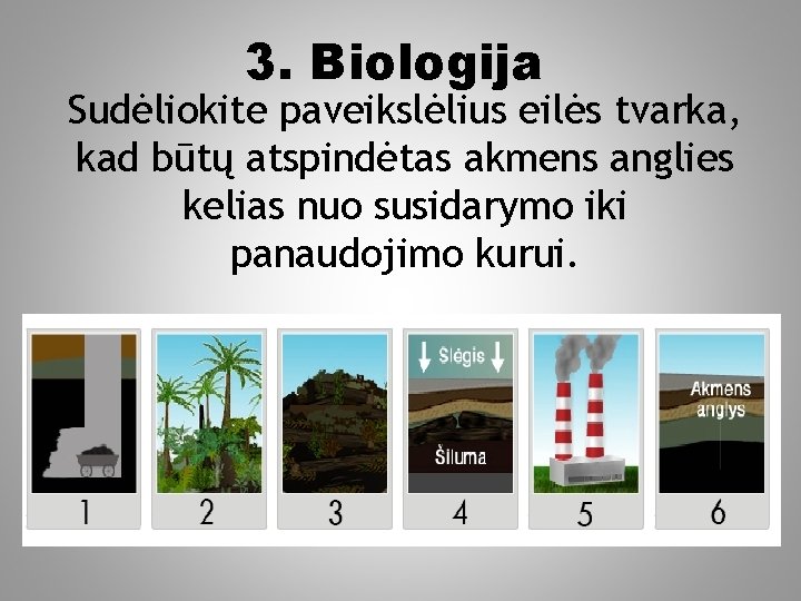 3. Biologija Sudėliokite paveikslėlius eilės tvarka, kad būtų atspindėtas akmens anglies kelias nuo susidarymo