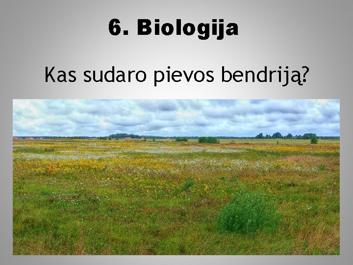 6. Biologija Kas sudaro pievos bendriją? 