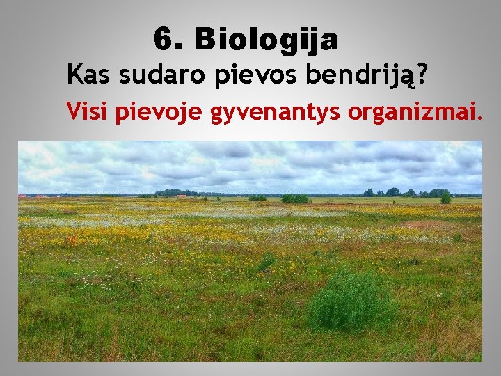 6. Biologija Kas sudaro pievos bendriją? Visi pievoje gyvenantys organizmai. 
