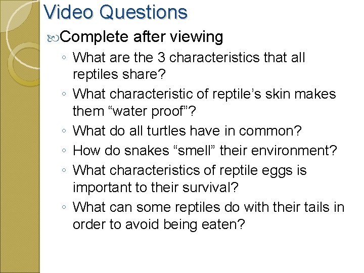 Video Questions Complete after viewing ◦ What are the 3 characteristics that all reptiles