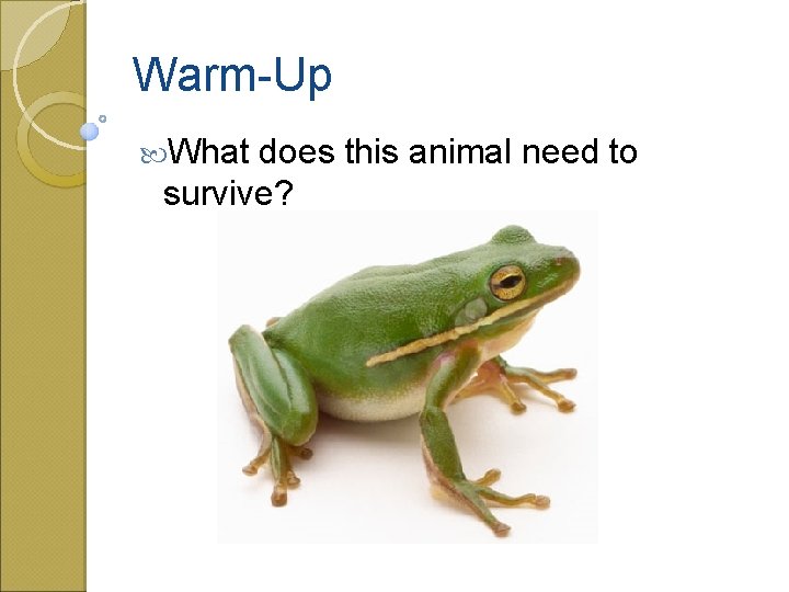 Warm-Up What does this animal need to survive? 